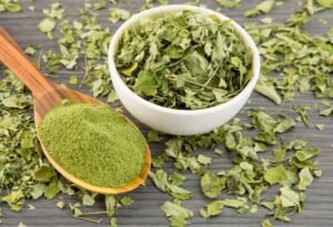 moringa en hojas